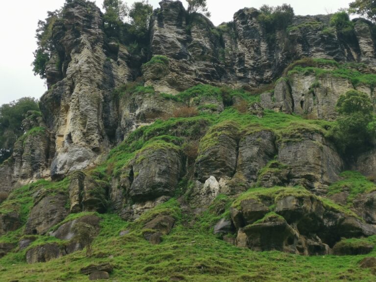 Read more about the article TeKuiti to Mangaokewa North campsite