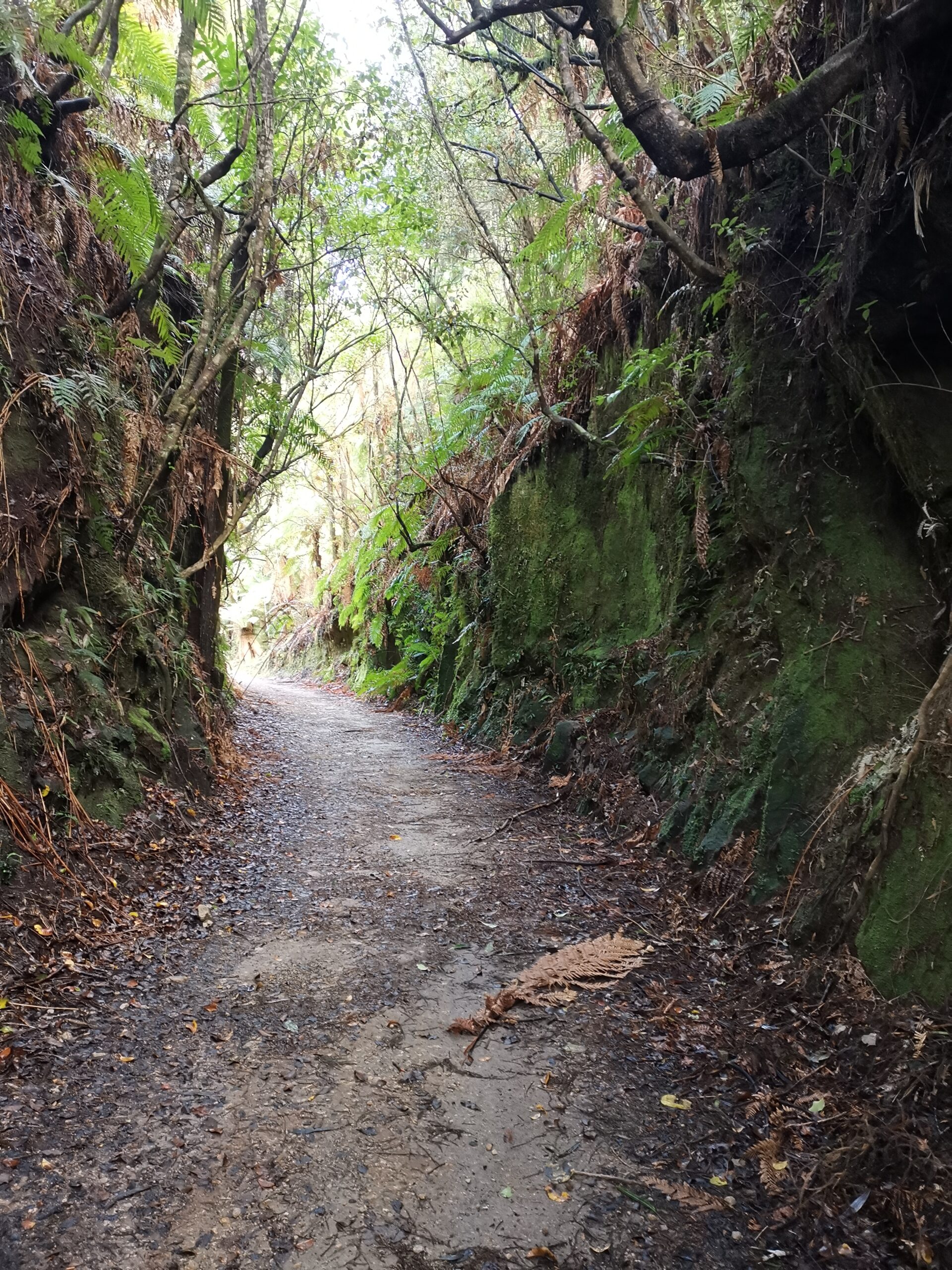 You are currently viewing Piropiro Flats to Taumarunui