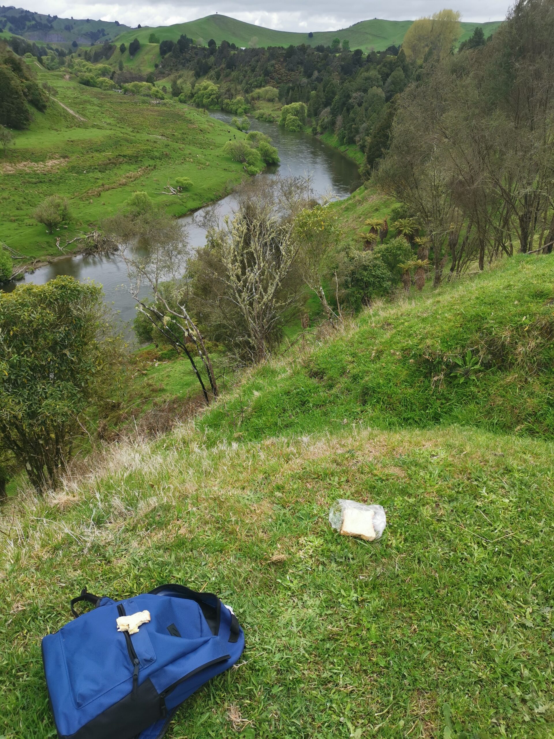 You are currently viewing Owhango to Taumarunui by bike