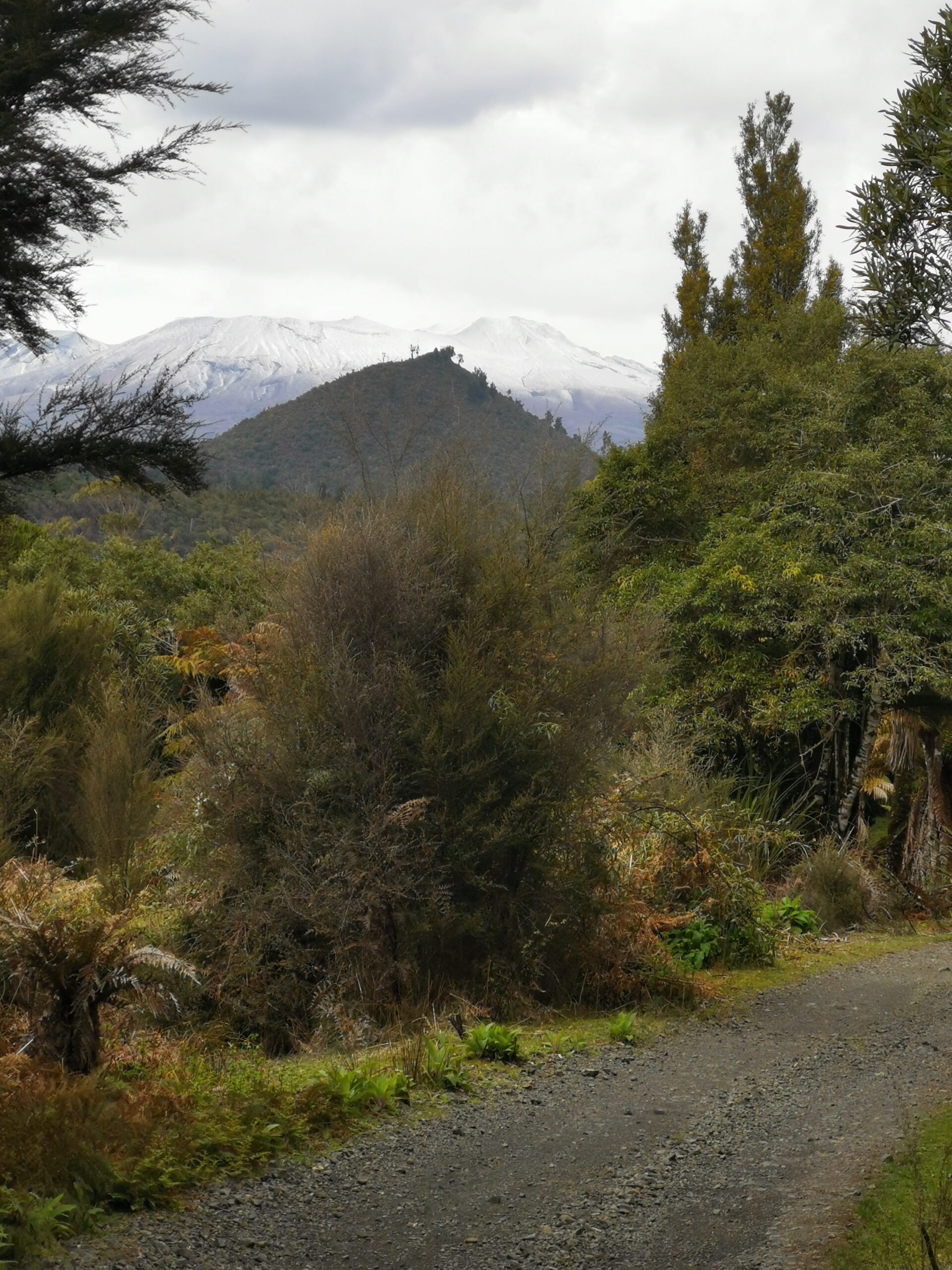 You are currently viewing Owhango to Tongariro Holiday Park