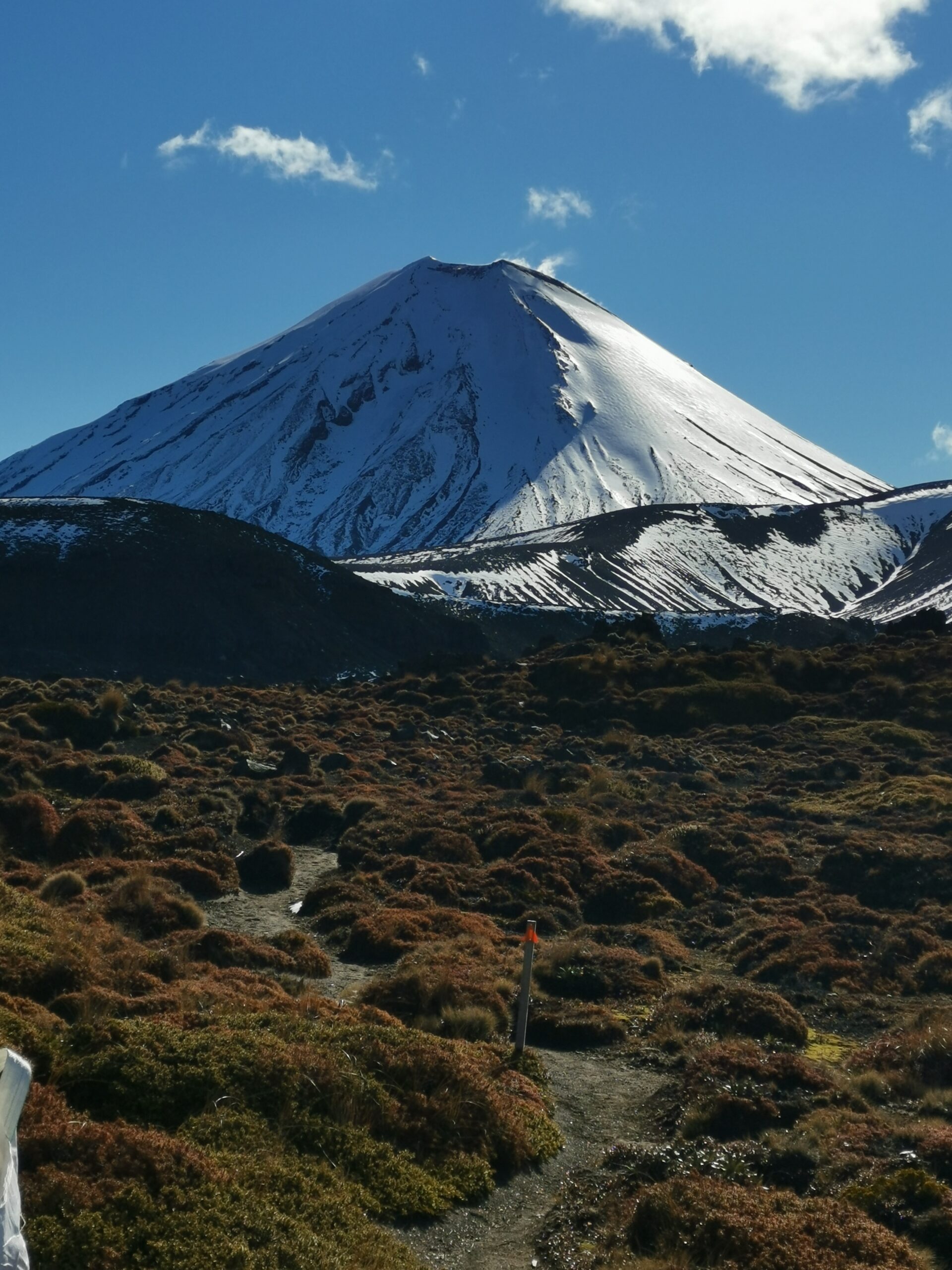 You are currently viewing Tongariro Holiday Park to Oturere Hut