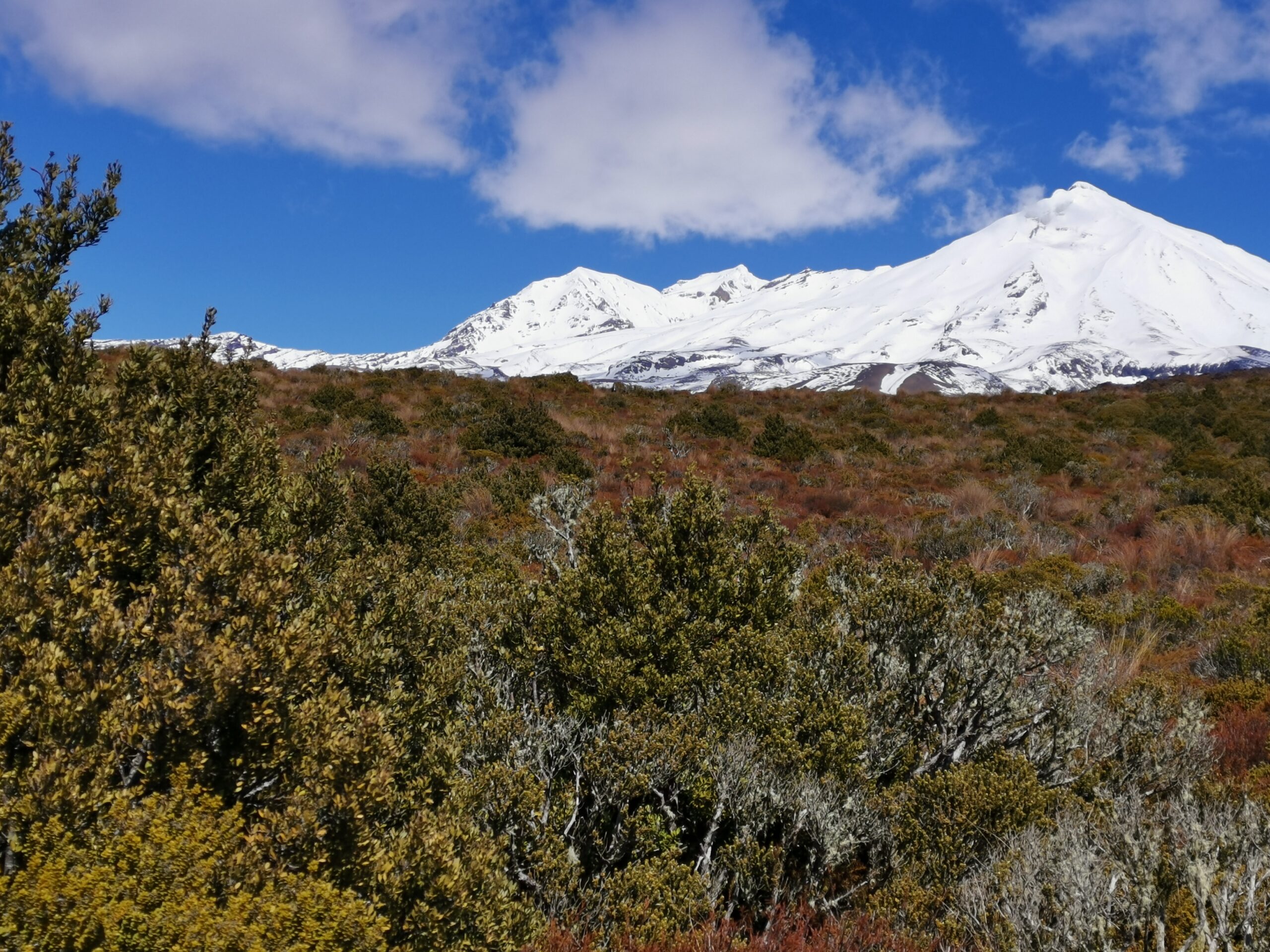 You are currently viewing Oturere to Rangipo Hut