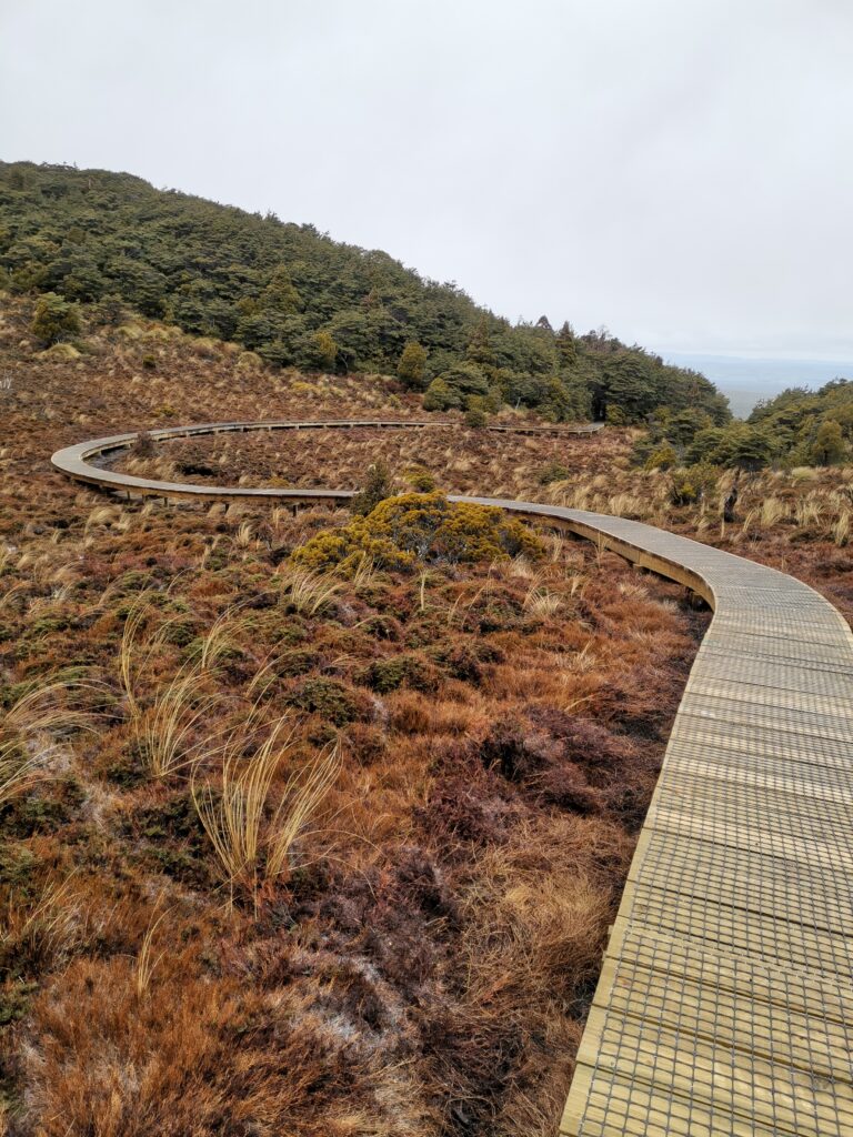 Read more about the article Mangaehuehu hut to Ohakune then Wanganui