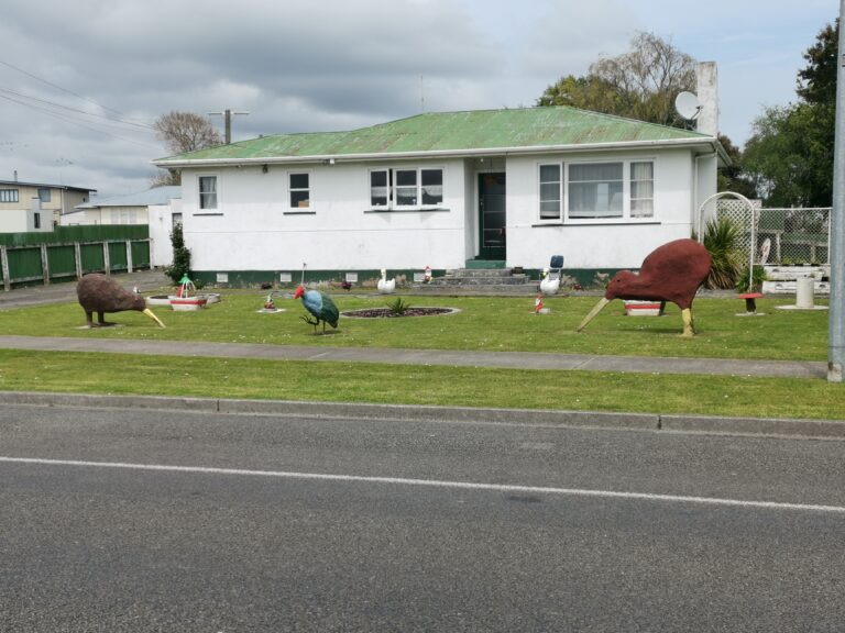 Read more about the article Wanganui to Whangaehu