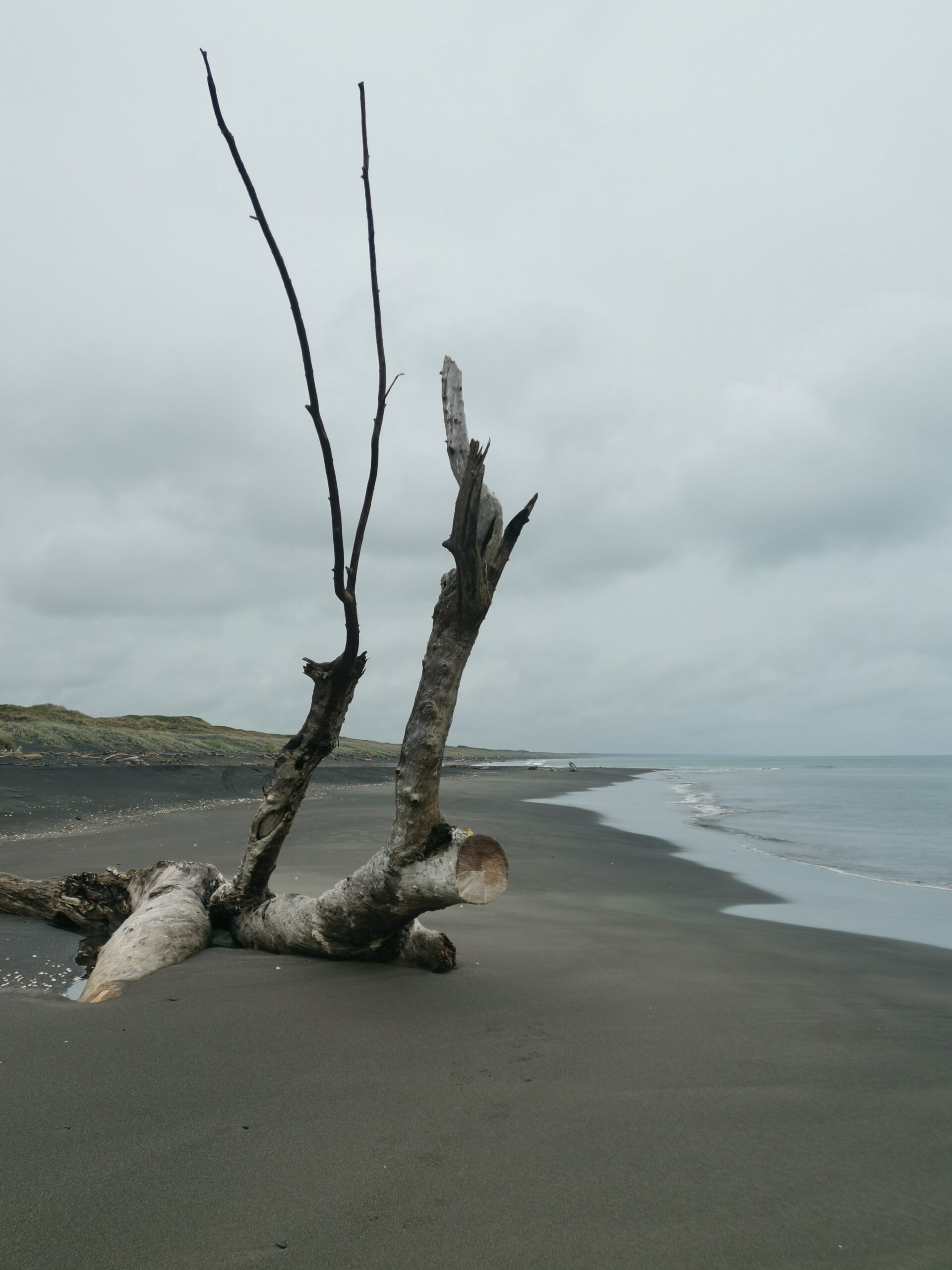 You are currently viewing Whangaehu to Bulls