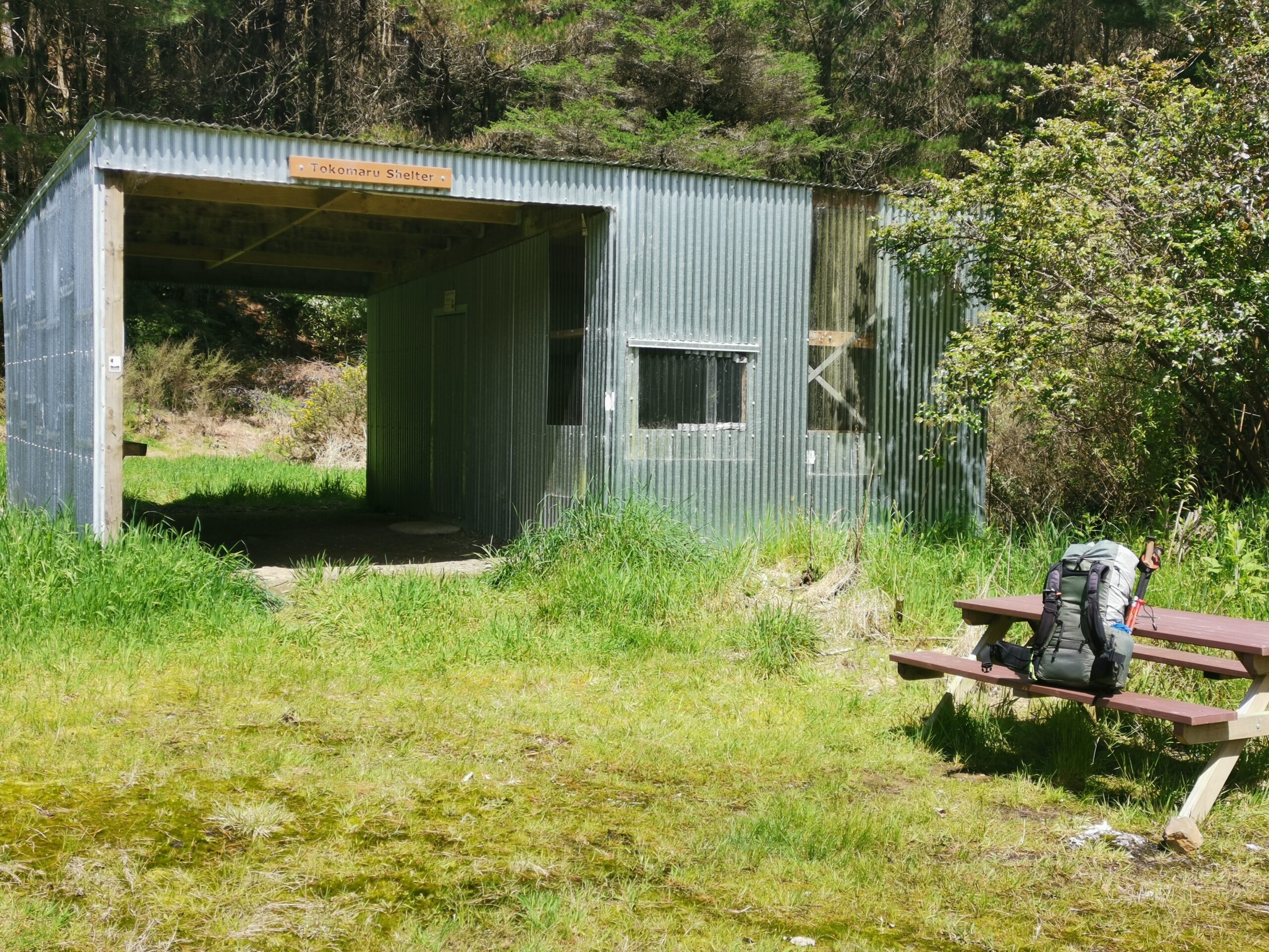 You are currently viewing Te Whare o Moturimu to Tokomaru Shelter