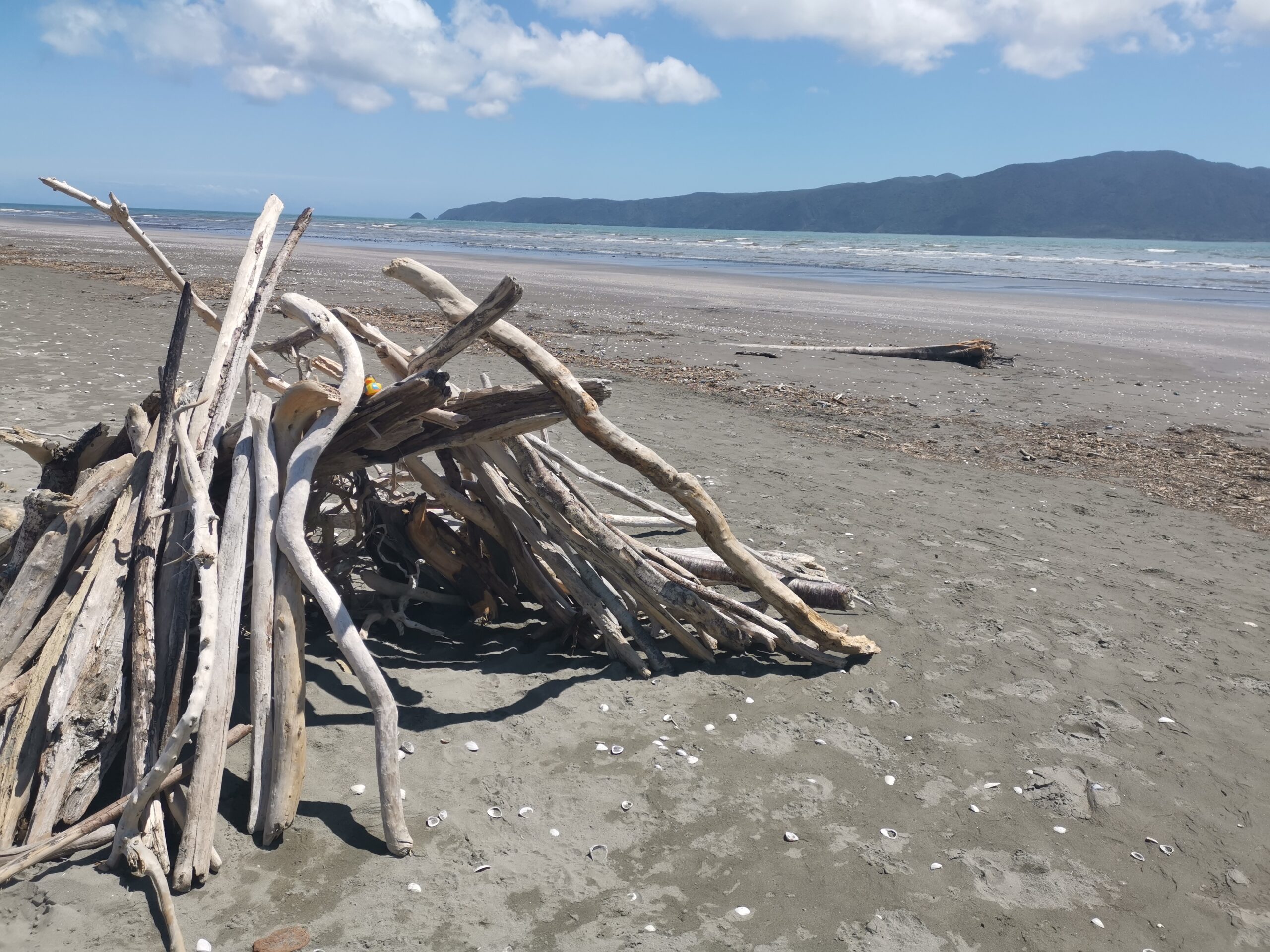 You are currently viewing Waikanae to Paekakariki