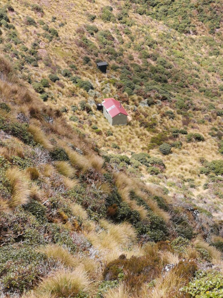 Read more about the article Waitewaewae Hut to Nichols Hut