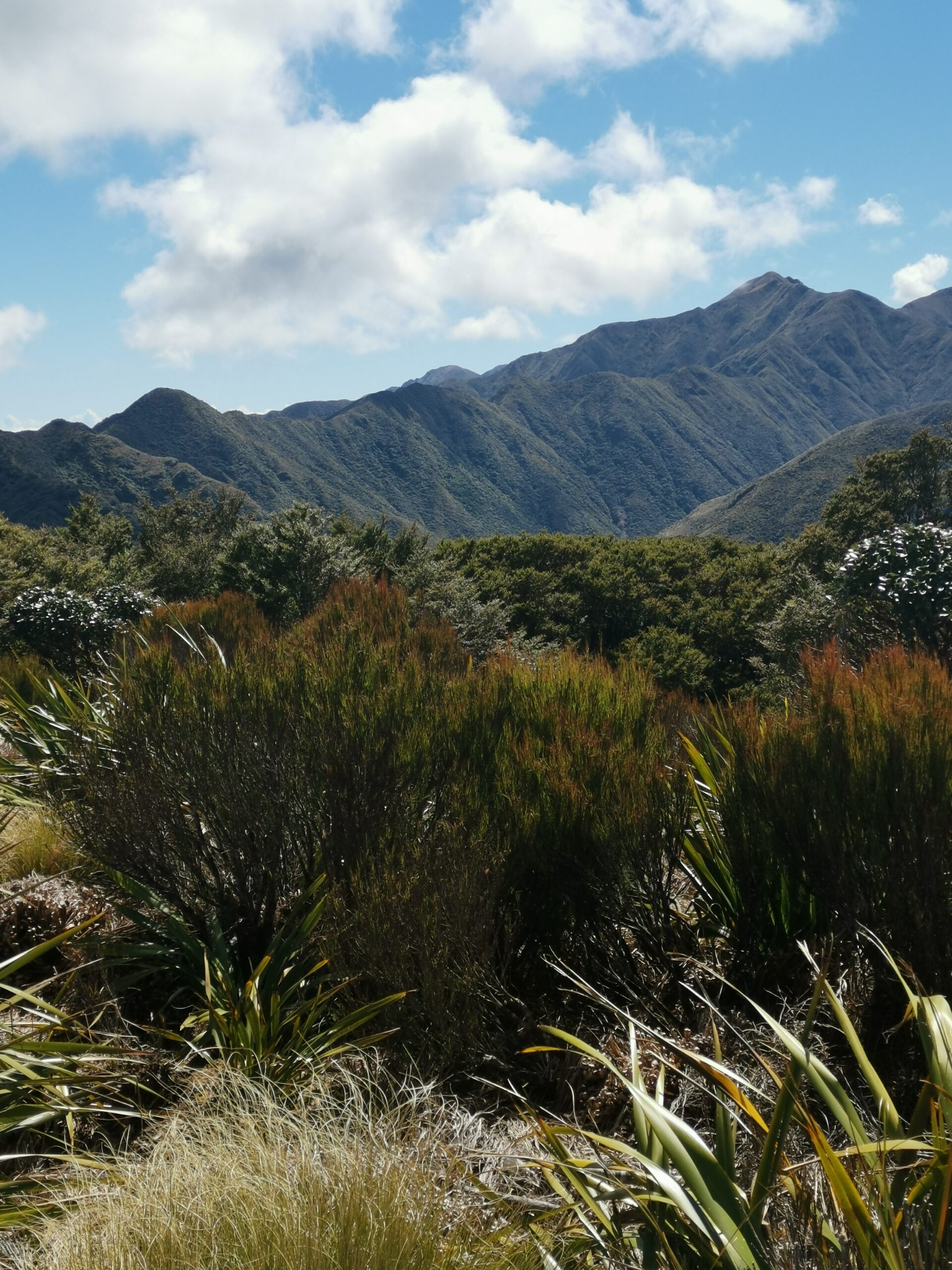 You are currently viewing Nichols Hut to TeMatawai Hut