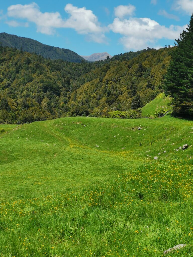 Read more about the article TeMatawai Hut to Poads Road and Levin