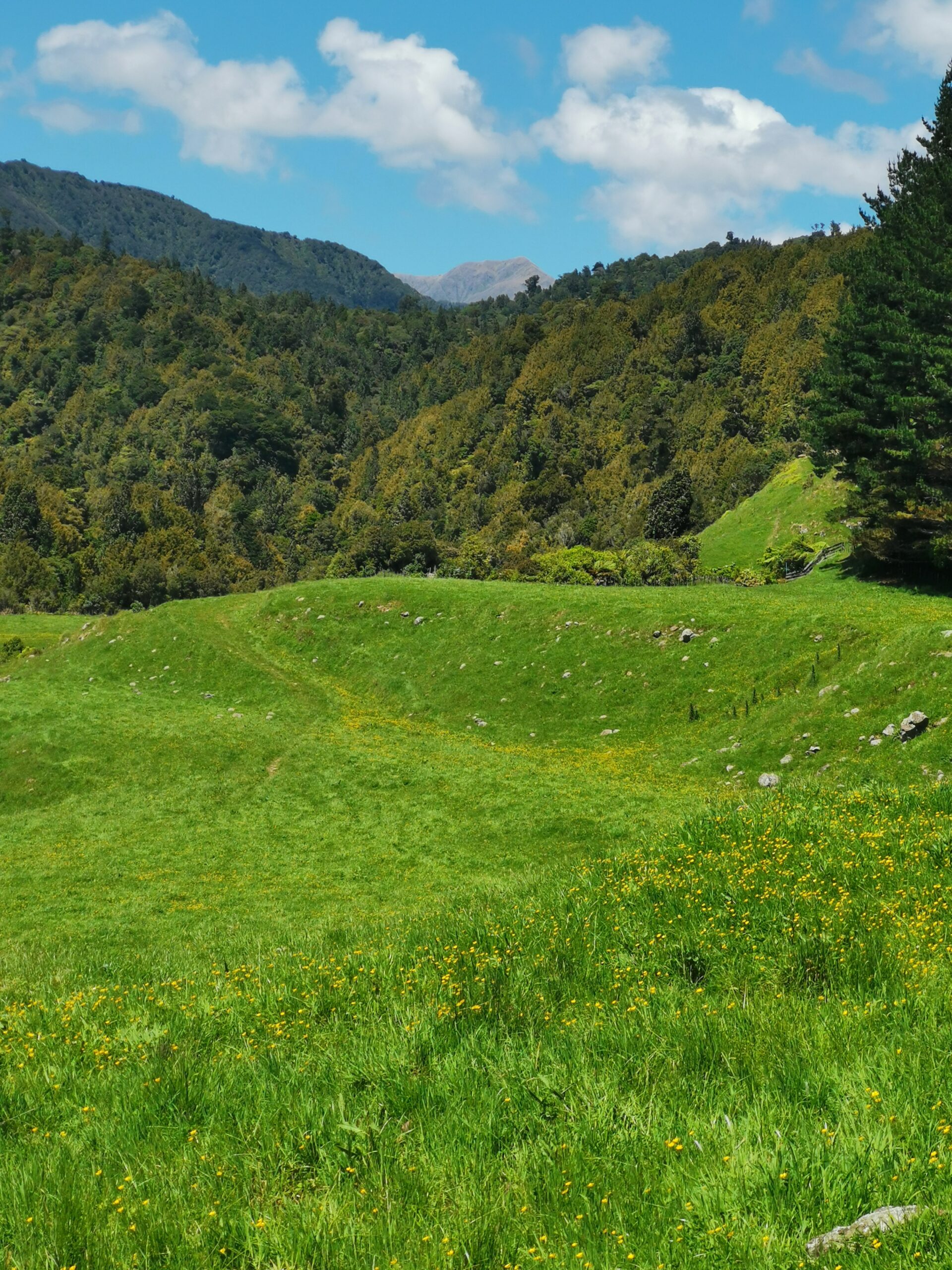 You are currently viewing TeMatawai Hut to Poads Road and Levin