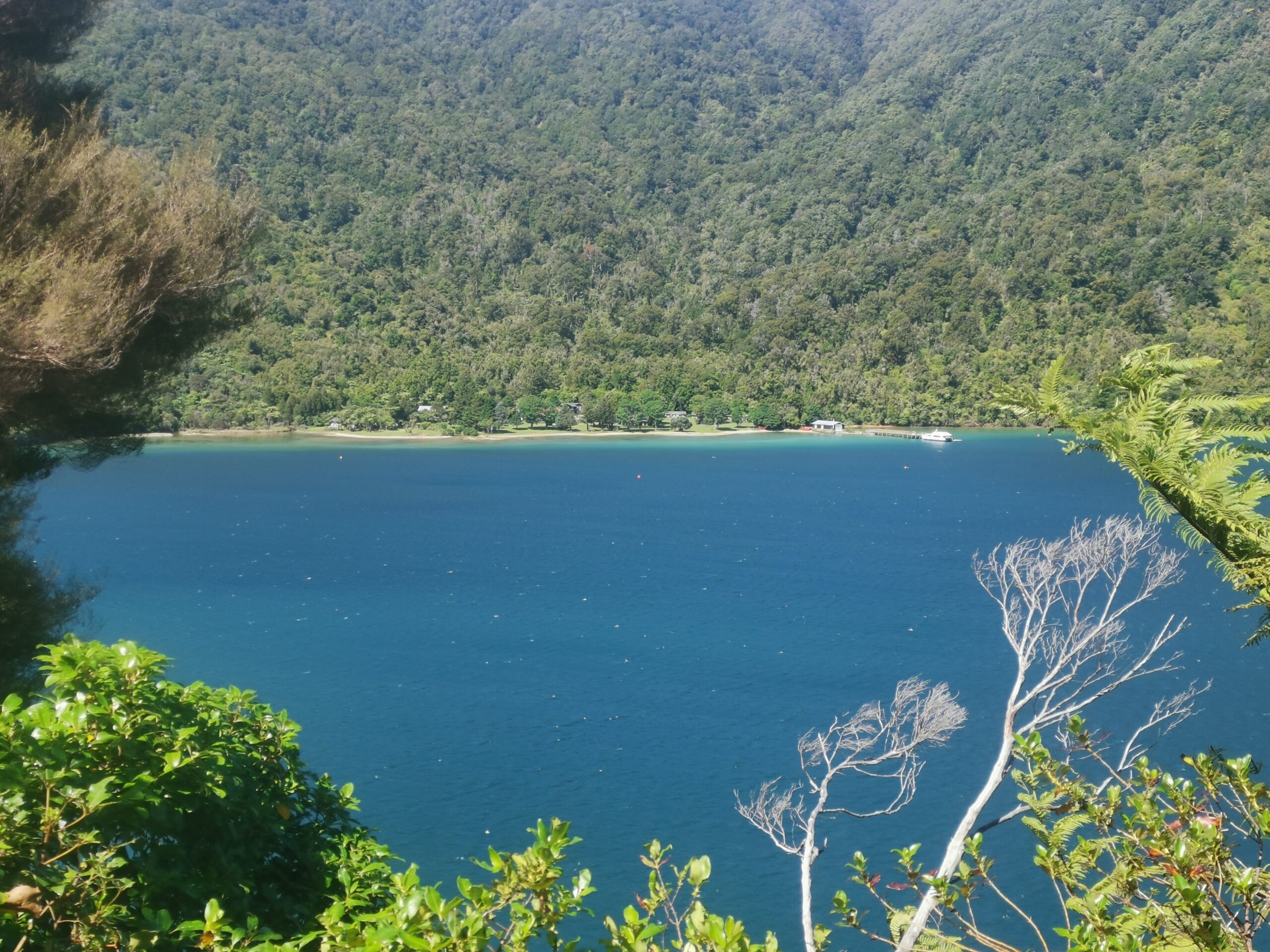 You are currently viewing Ship Cove to Camp Cove Campsite from Picton