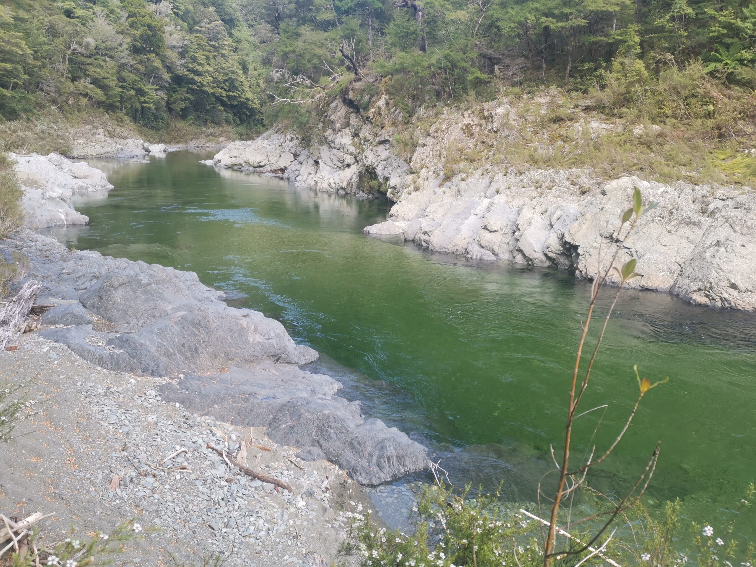 You are currently viewing Pelorous Bridge to Middy Hut (Richmonds)