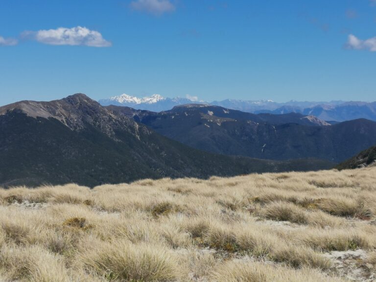 Read more about the article Browning Hut to Slaty Hut (Richmonds)