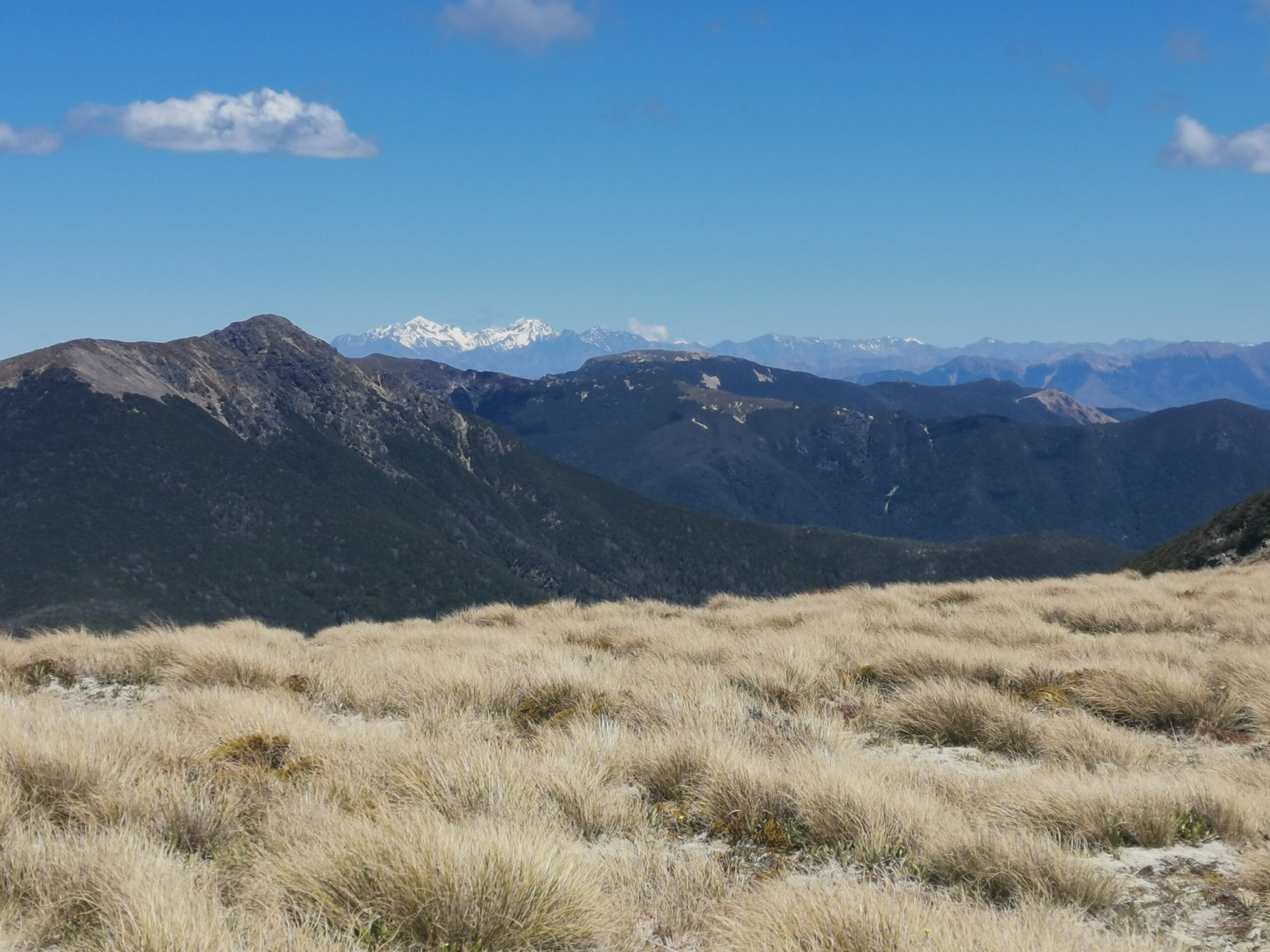 You are currently viewing Browning Hut to Slaty Hut (Richmonds)