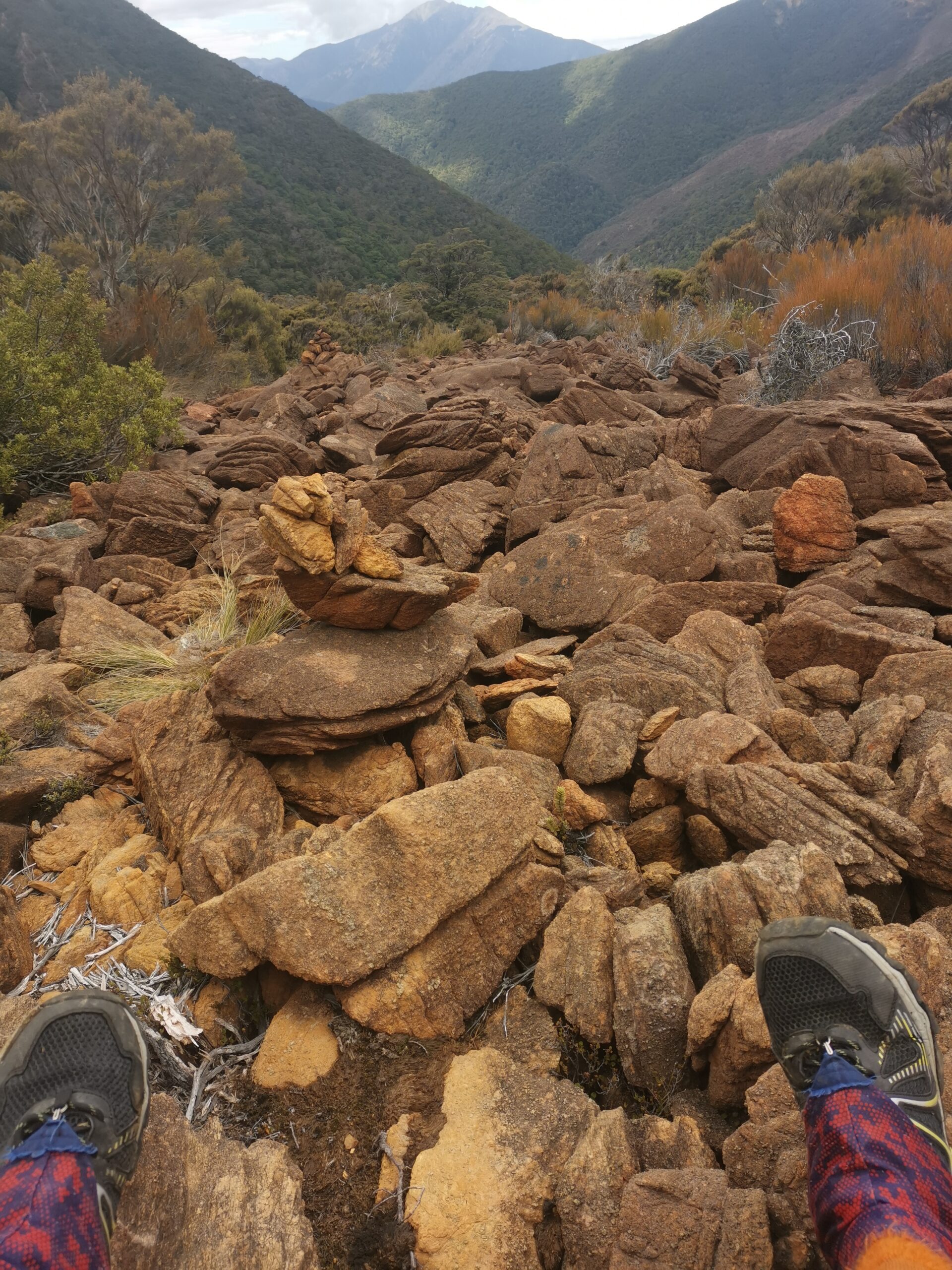 You are currently viewing Mid Wairoa Hut to Hunters Hut (Richmonds)