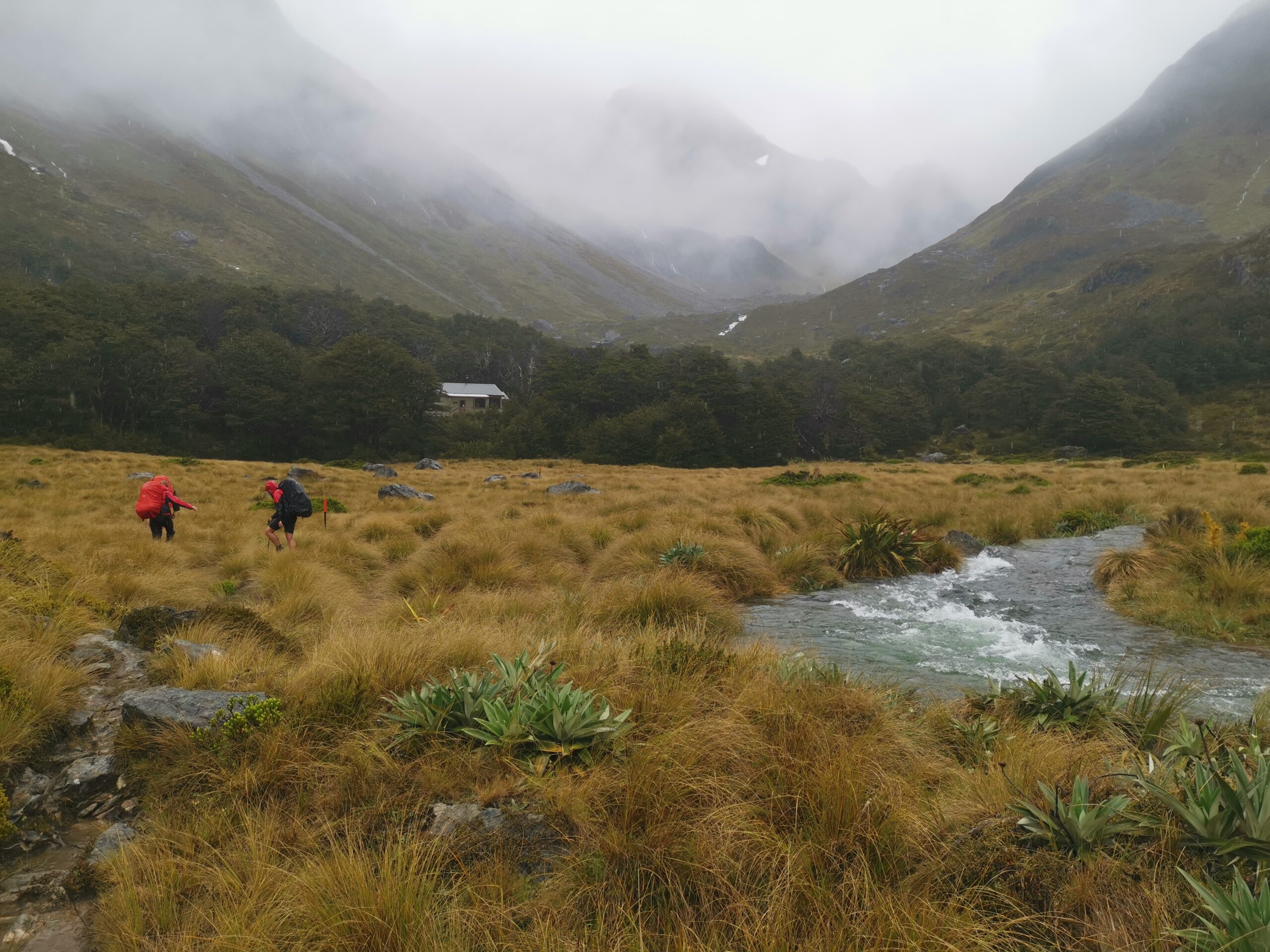 You are currently viewing John Tait Hut to Upper Travers Hut (Waiau)