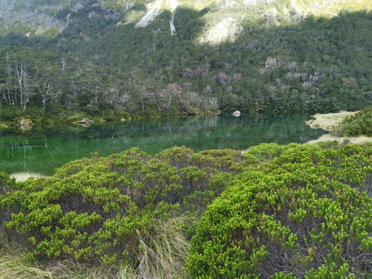 Read more about the article Upper Travers Hut to Blue Lake Hut (Waiau)