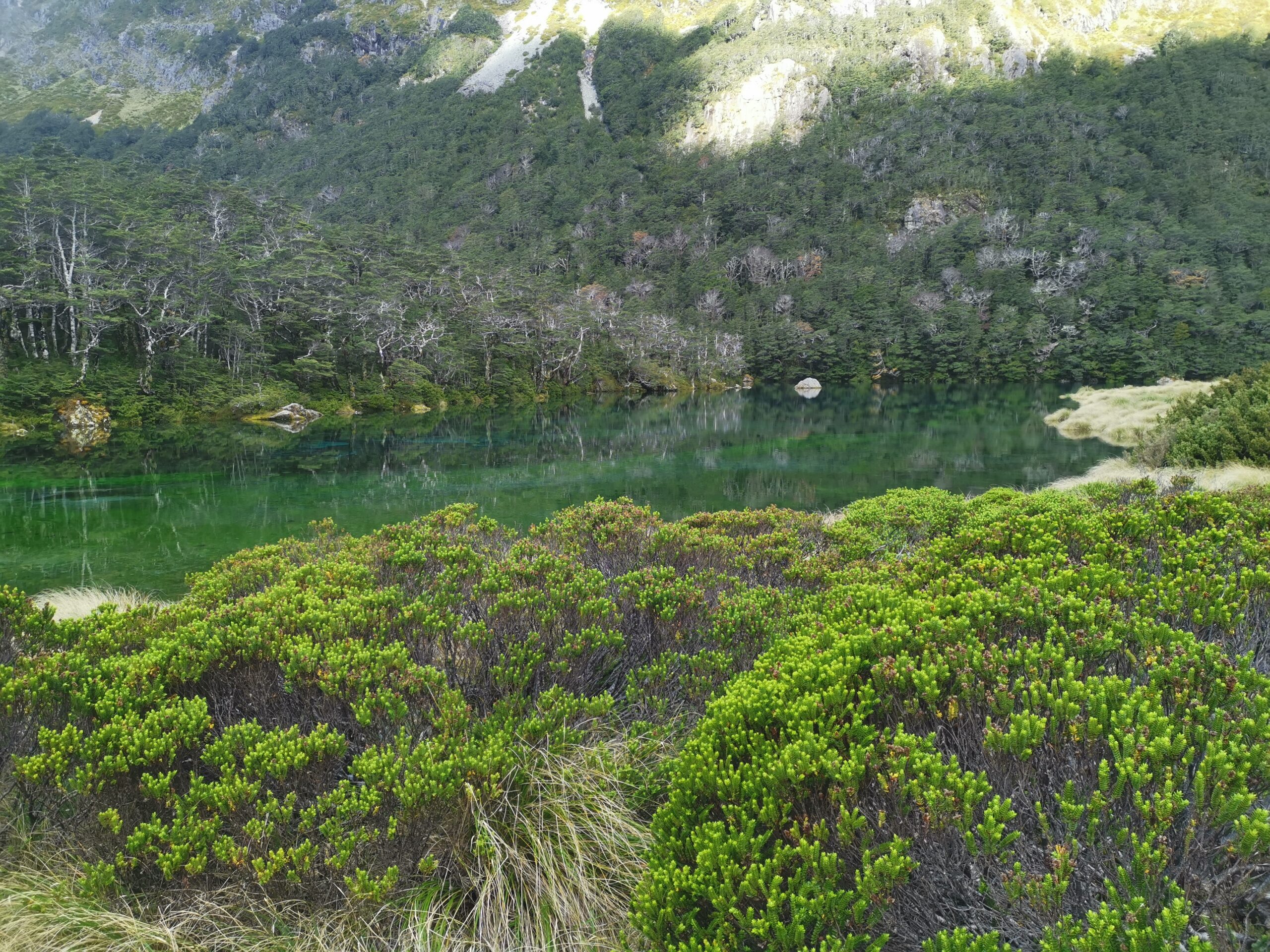 You are currently viewing Upper Travers Hut to Blue Lake Hut (Waiau)