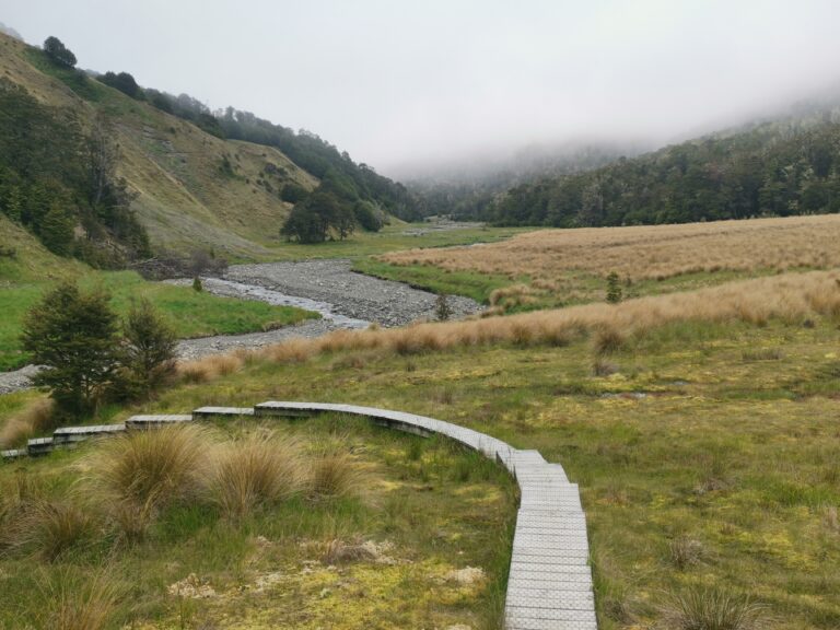 Read more about the article Anne Hut to Boyle Village (Waiau)