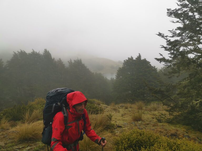 Read more about the article Bealey Road end to Hamilton Hut(To Lake Coleridge)