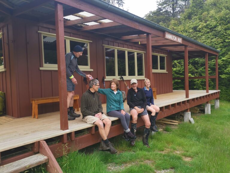 Read more about the article Hamilton Hut to Harper Campsite (To Lake Coleridge)