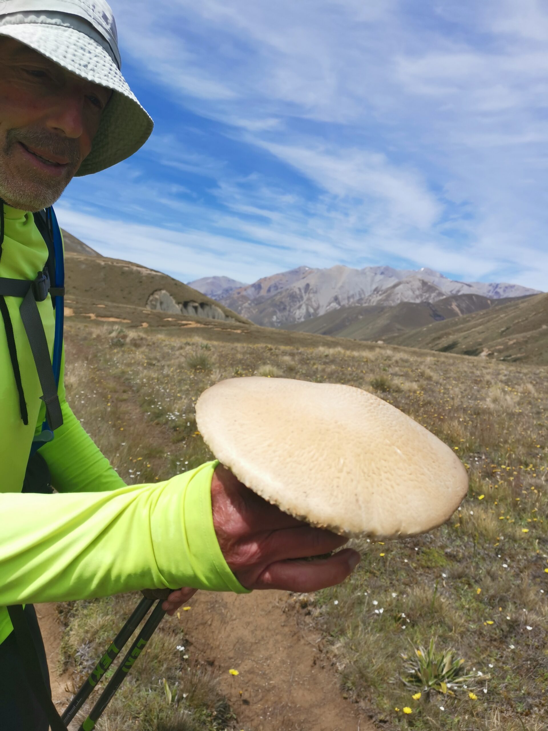 You are currently viewing Rakaia River to Comyns Hut