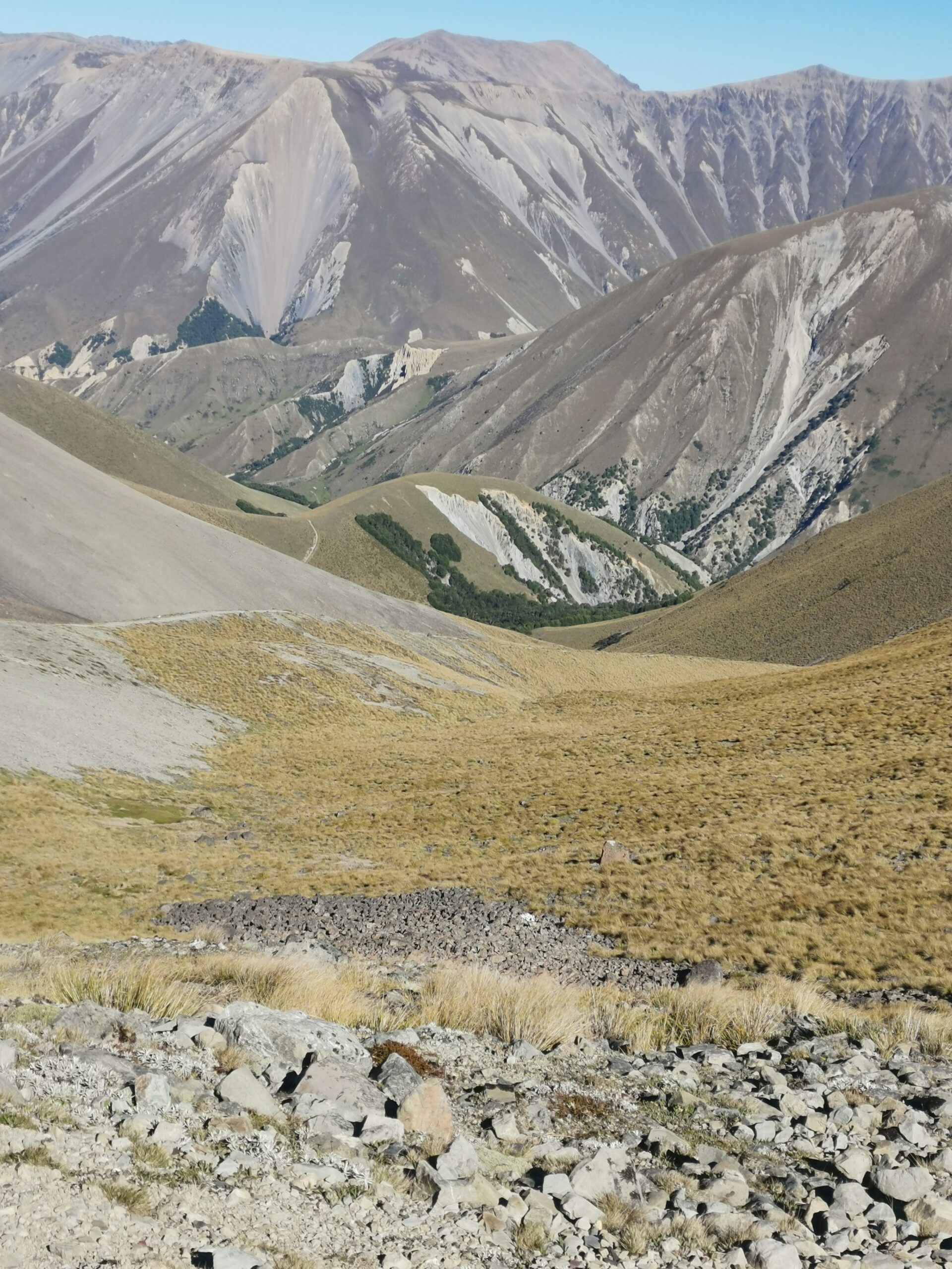 You are currently viewing Rangitata River to Royal Hut