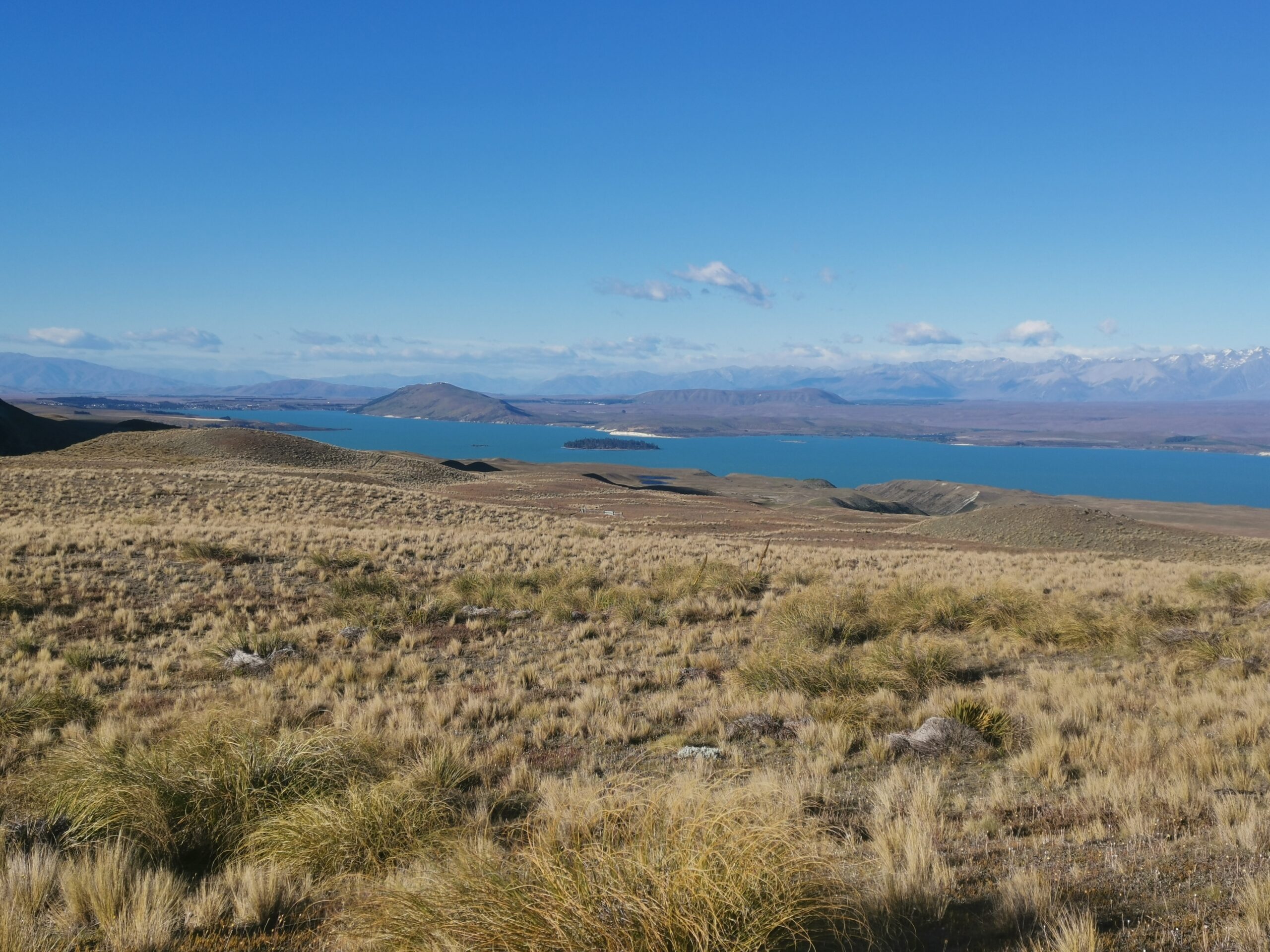 You are currently viewing Campsite to Tekapo