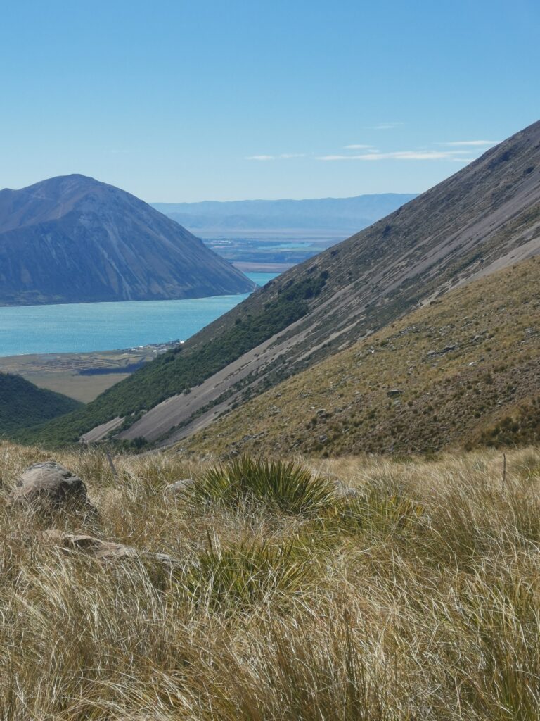 Read more about the article Lake Ohau to Ahuriri River