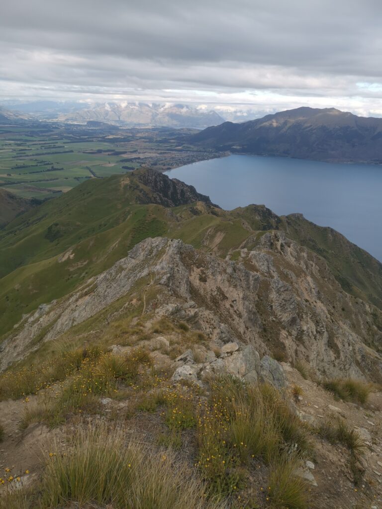 Read more about the article Pakituhi Hut to Lake Hawea