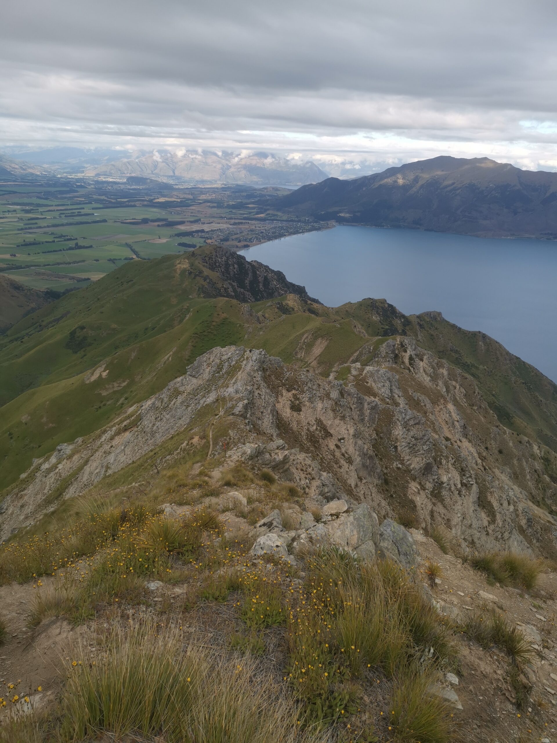 You are currently viewing Pakituhi Hut to Lake Hawea