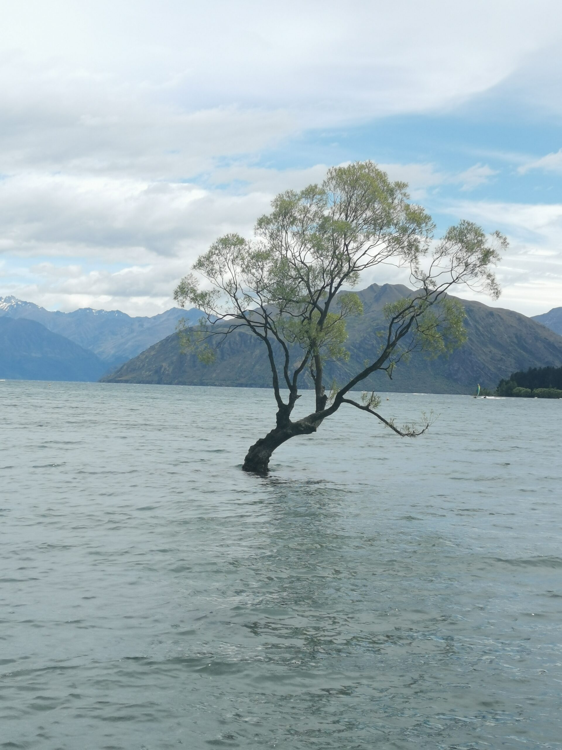 You are currently viewing Wanaka to Glendu Bay