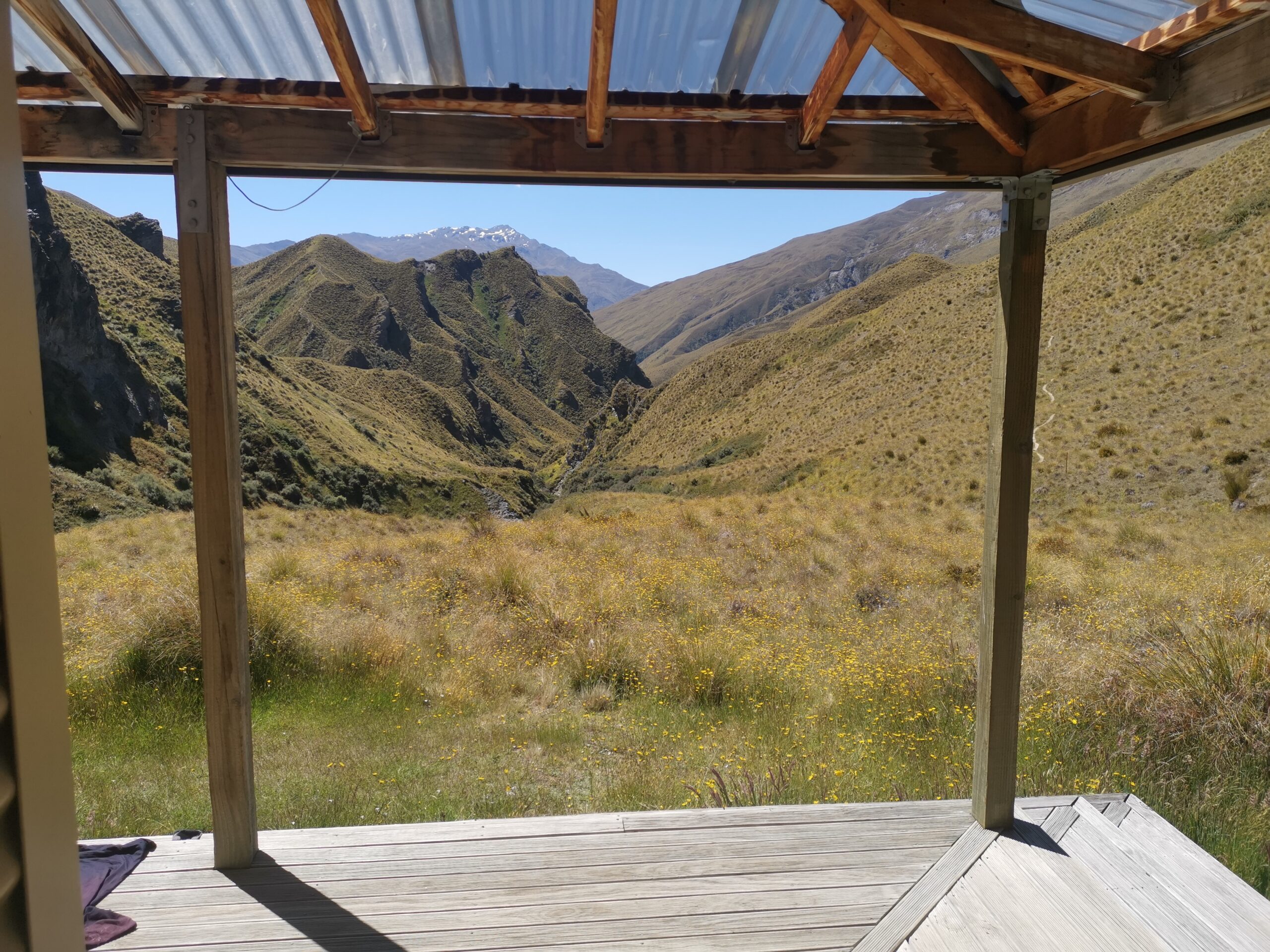 You are currently viewing Glendu Bay car park to Highland Creek Hut