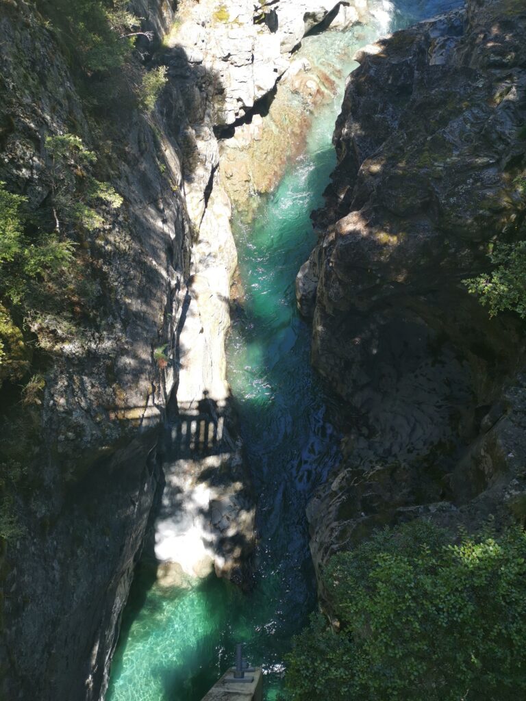 Read more about the article Greenstone Carpark to Taipo Hut