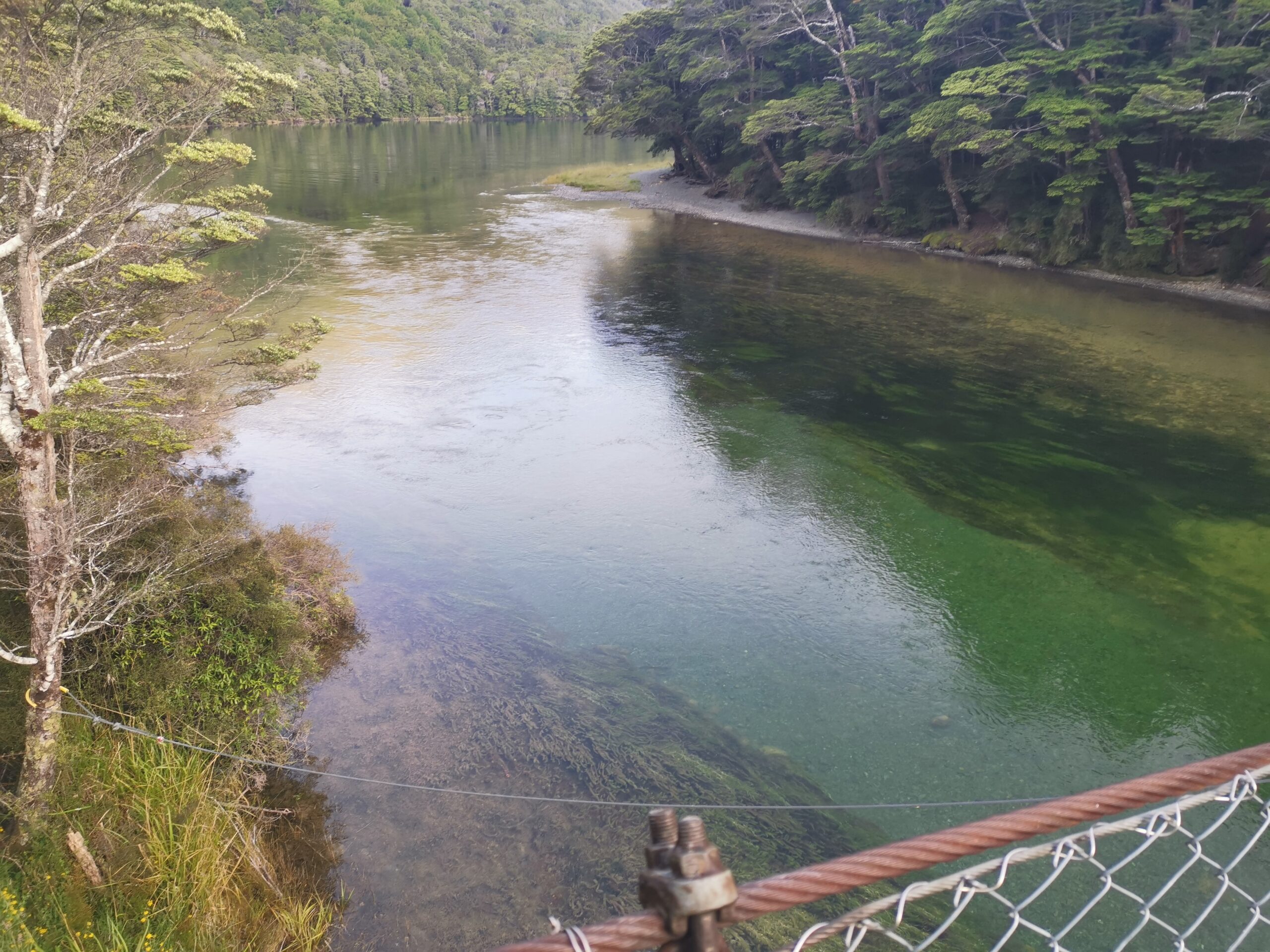 You are currently viewing Mavora Lakes to TeAnau