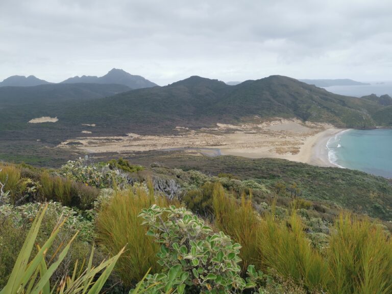 Read more about the article Long Harry to East Ruggedy Hut (Stewart Island)