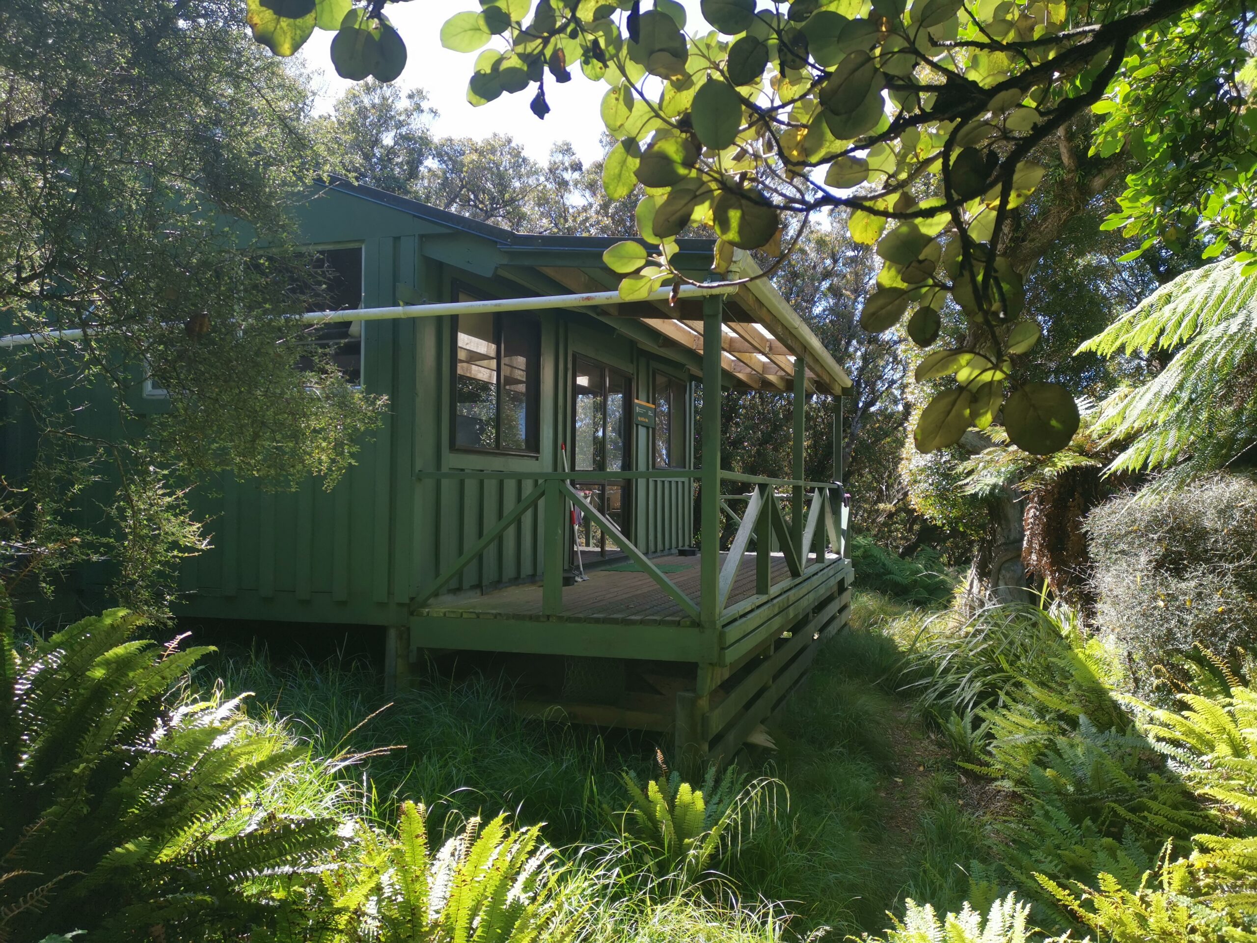 You are currently viewing East Ruggedy Hut to Big Hellfire Hut (Stewart Island)