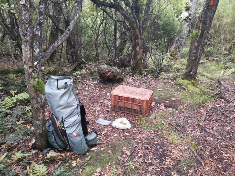 Read more about the article Big Hellfire Hut to Mason Bay Hut (Stewart Island)