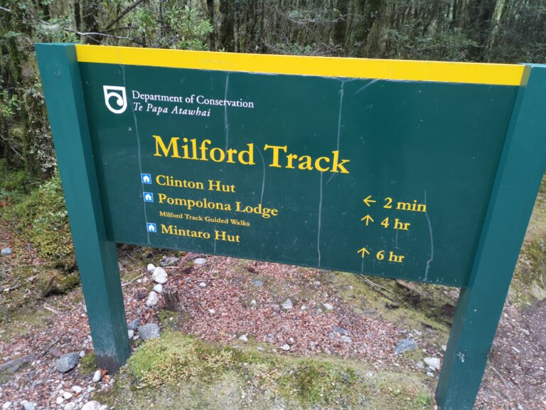 Read more about the article TeAnau to Clinton Hut (Milford Track)