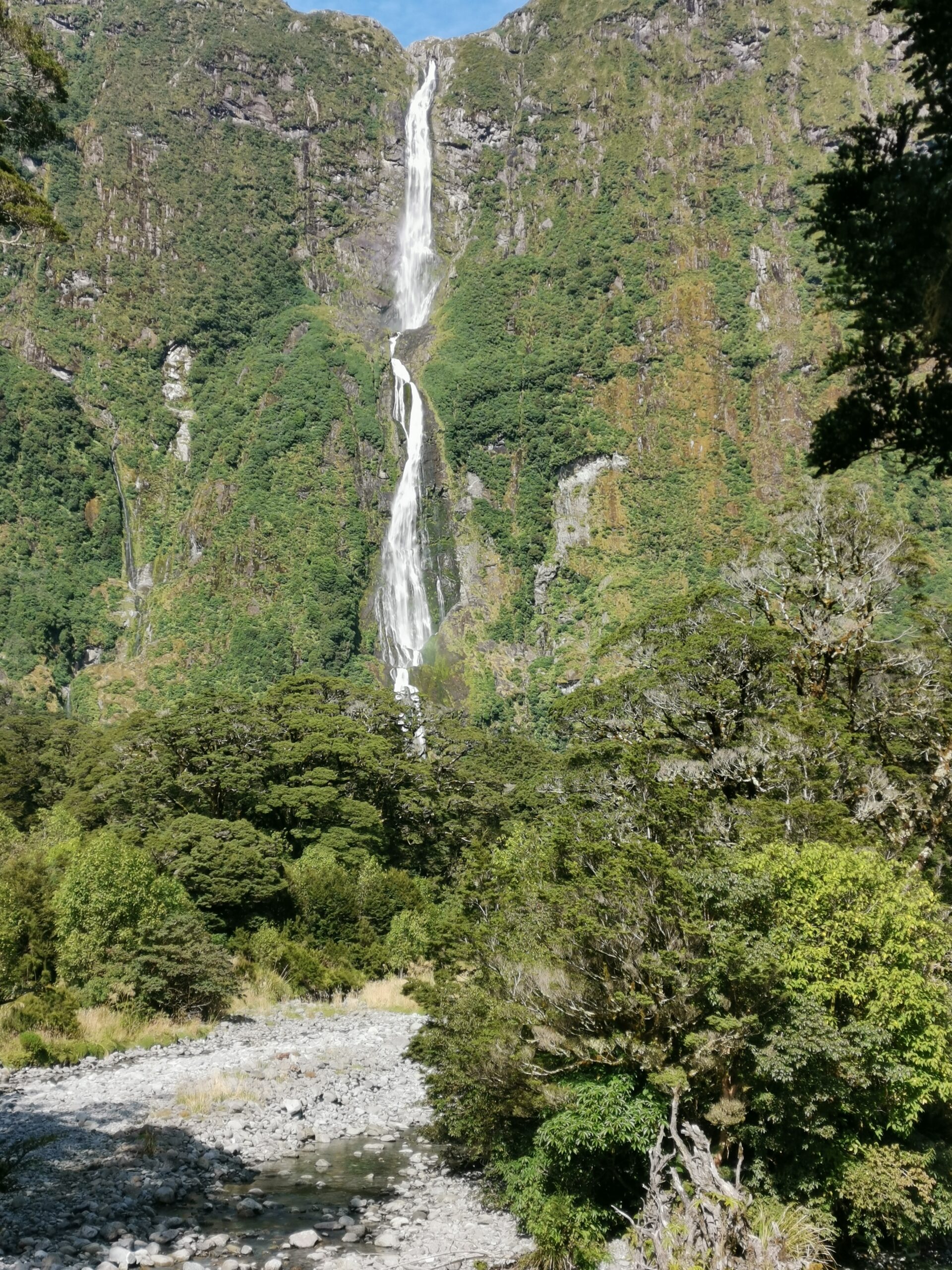 You are currently viewing Mintaro Hut to Dumpling Hut (Milford Track)