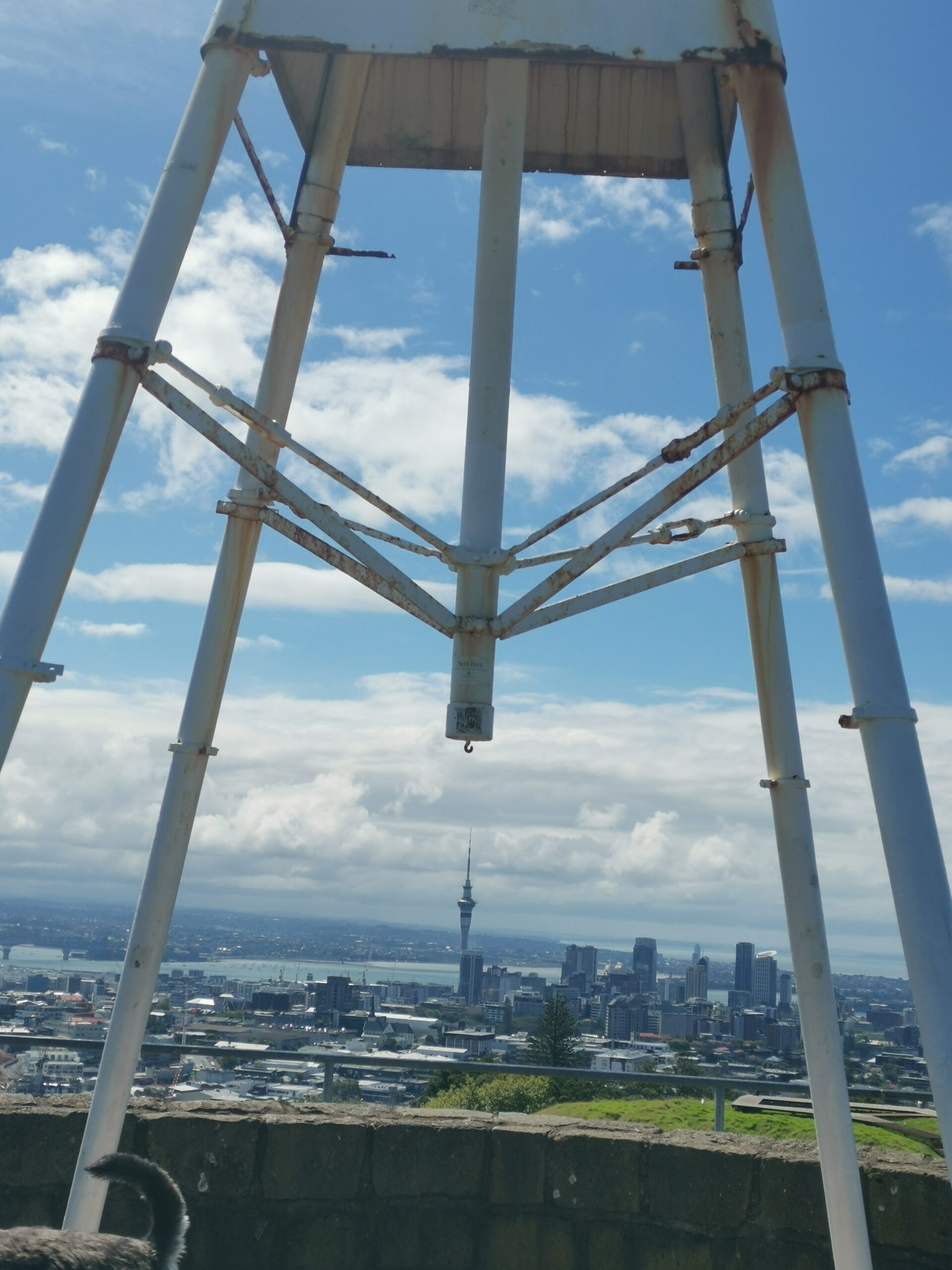 You are currently viewing Auckland Airport to Devonport