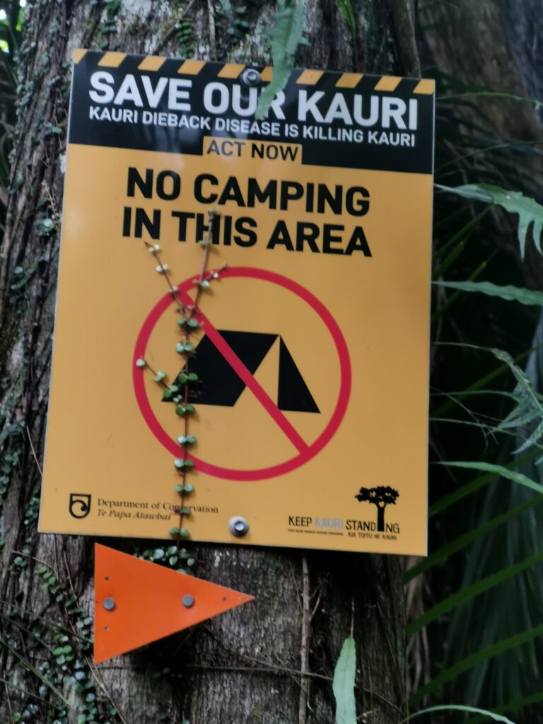 Read more about the article Puketi to Apple Dam Campsite