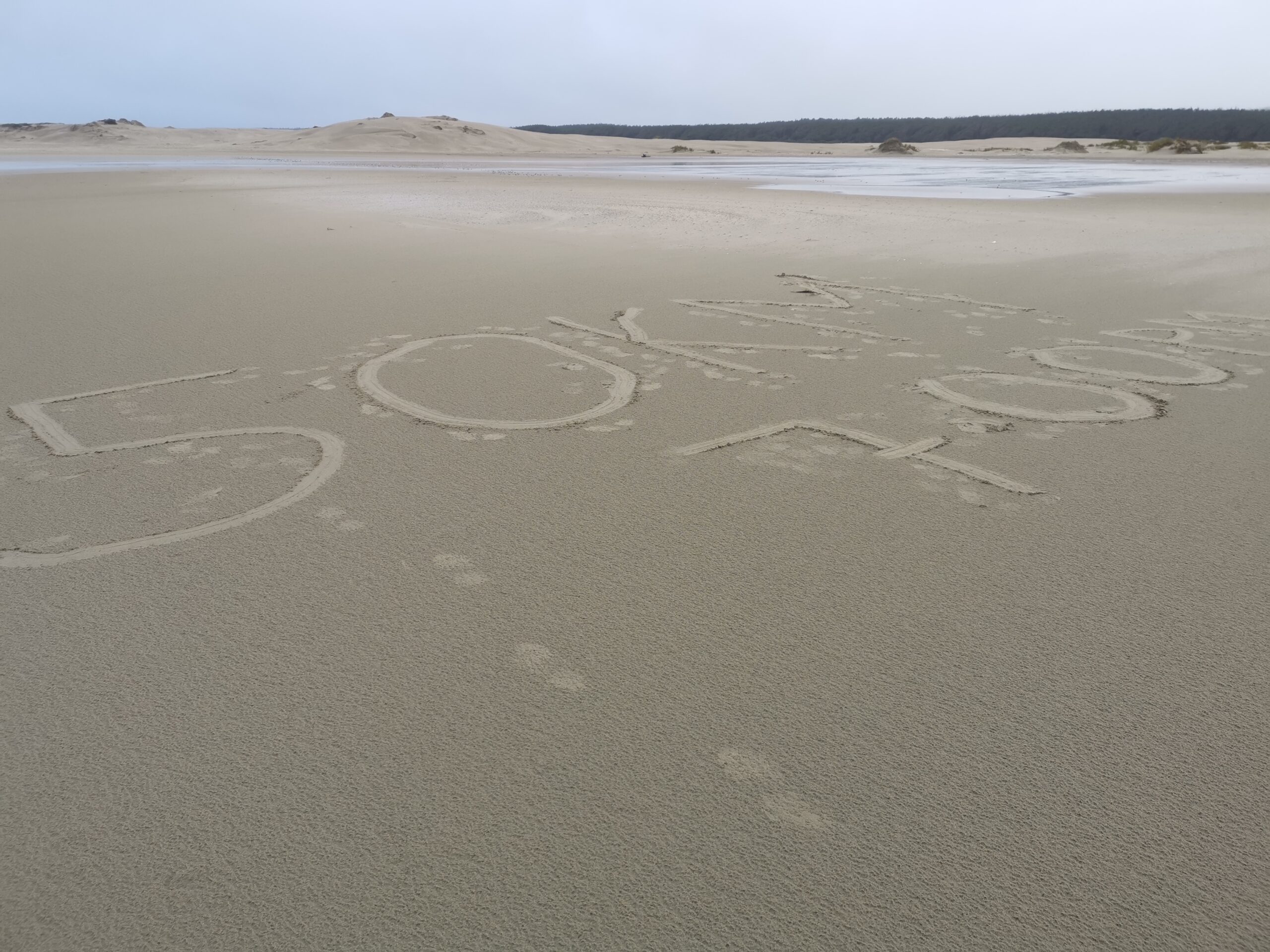 You are currently viewing Ahipara to the end of 90 Mile Beach