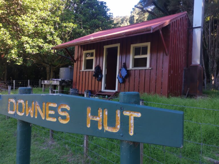 Read more about the article Pipiriki to Downes Hut, Day 4 (Wanganui River)